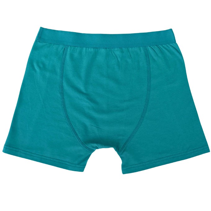 Tropic Two-Pack Boxer Briefs - Organic Cotton and Micromodal from TIZZ & TONIC