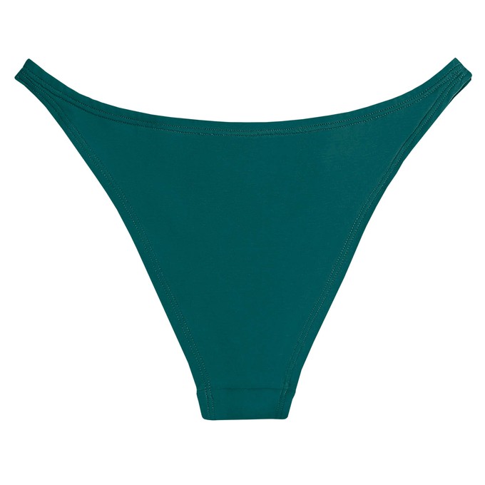 Everglade Organic Cotton Brazilian Panty from TIZZ & TONIC