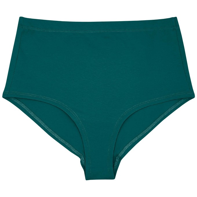 Everglade Organic Cotton Hi-Waist Panty (Lightweight Fit) from TIZZ & TONIC