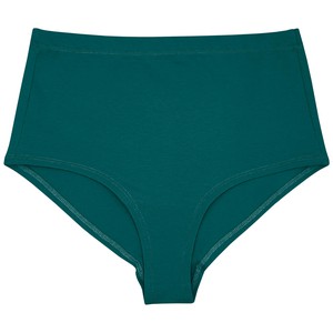 Everglade Organic Cotton Hi-Waist Panty (Lightweight Fit) from TIZZ & TONIC