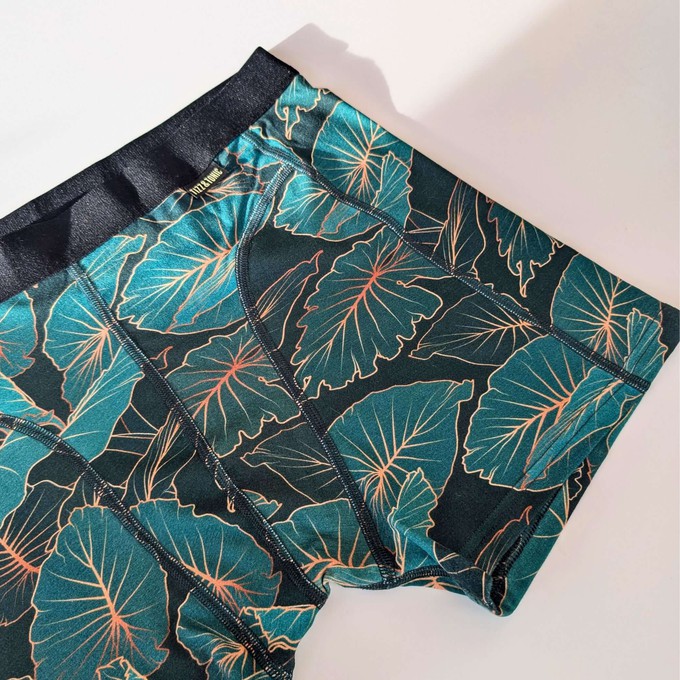 Tropic Two-Pack Boxer Briefs - Organic Cotton and Micromodal from TIZZ & TONIC