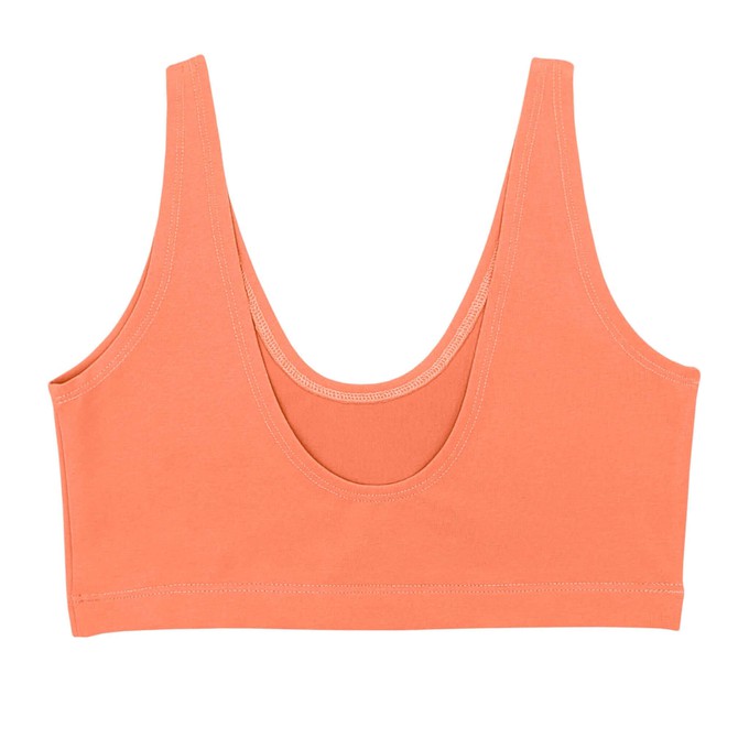 Apricot Supima Cotton Soft Bra from TIZZ & TONIC
