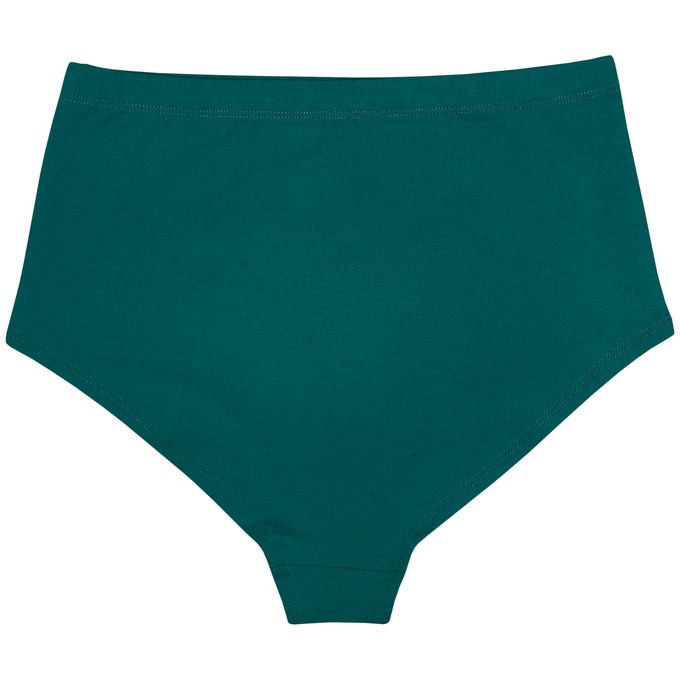 Everglade Organic Cotton Hi-Waist Panty (Lightweight Fit) from TIZZ & TONIC