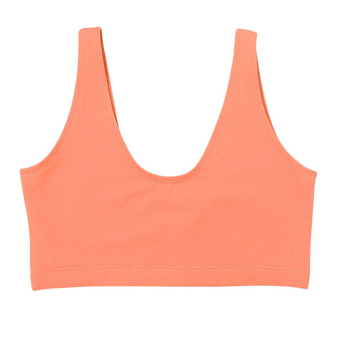 Apricot Supima Cotton Soft Bra from TIZZ & TONIC