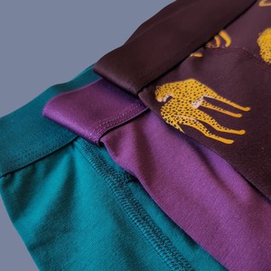 Plum Purple Organic Cotton Boxer Brief from TIZZ & TONIC