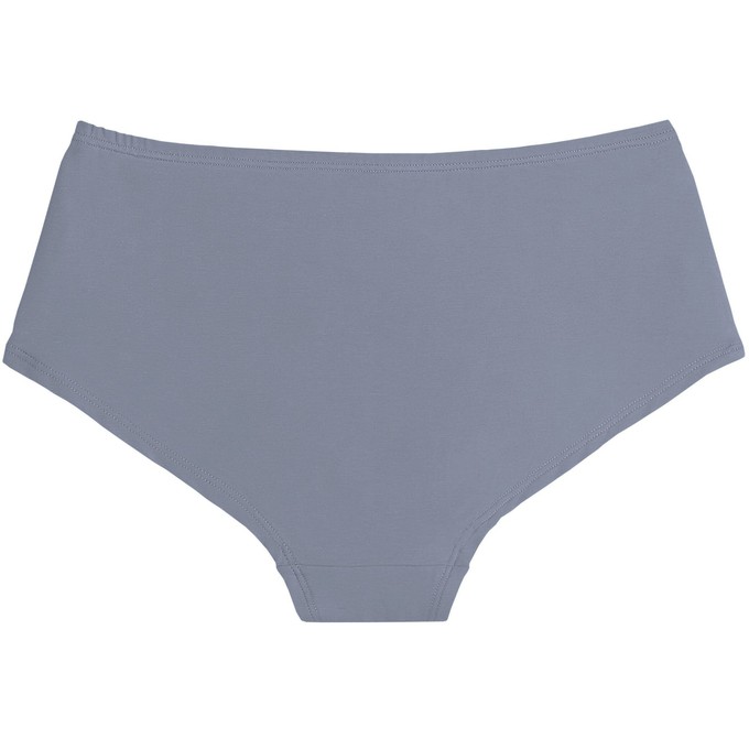 Foxy Grey Organic Cotton Hipster Panty from TIZZ & TONIC