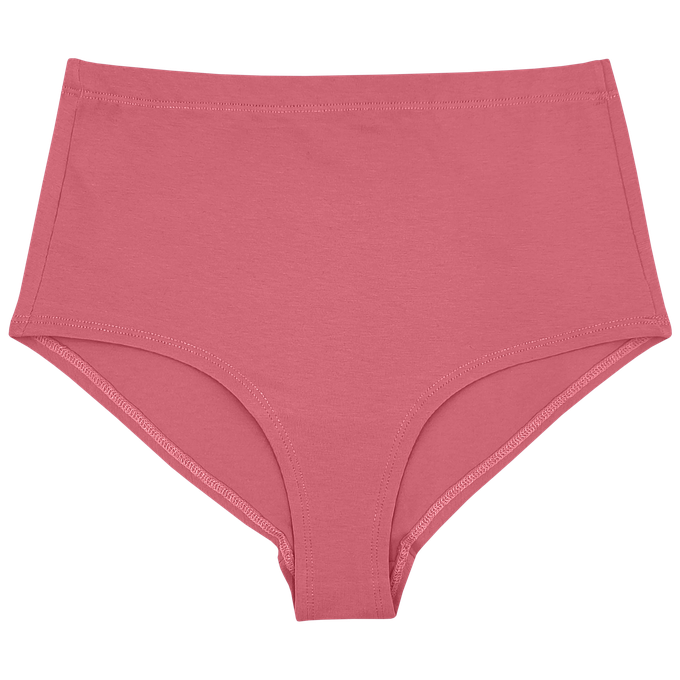 Desert Rose Organic Cotton Hi-Waist Panty (Lightweight Fit) from TIZZ & TONIC