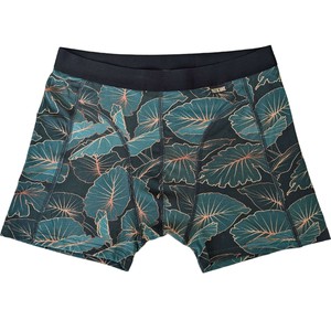 Tropic Two-Pack Boxer Briefs - Organic Cotton and Micromodal from TIZZ & TONIC