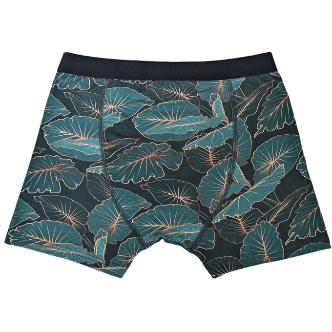 Tropic Two-Pack Boxer Briefs - Organic Cotton and Micromodal from TIZZ & TONIC
