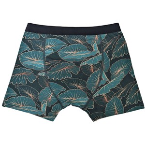 Tropic Two-Pack Boxer Briefs - Organic Cotton and Micromodal from TIZZ & TONIC