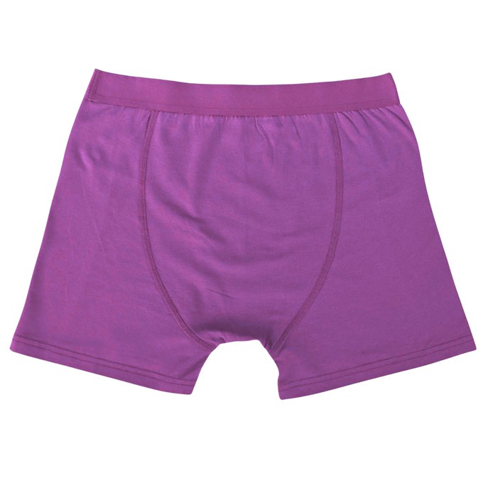 Plum Purple Organic Cotton Boxer Brief from TIZZ & TONIC