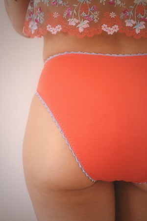 Hazel High Leg Knicker from Troo