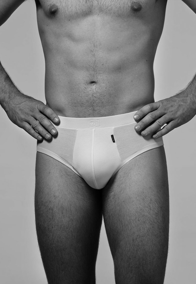 Mini brief from ZD ZERO DEFECTS