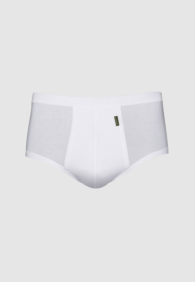 Senior Fly Front Brief - plus size from ZD ZERO DEFECTS