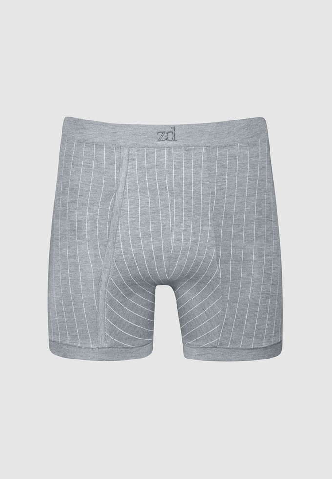 Helios pinstriped fly front boxer - plus size from ZD ZERO DEFECTS