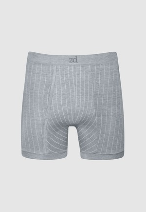 Helios pinstriped fly front boxer - plus size from ZD ZERO DEFECTS