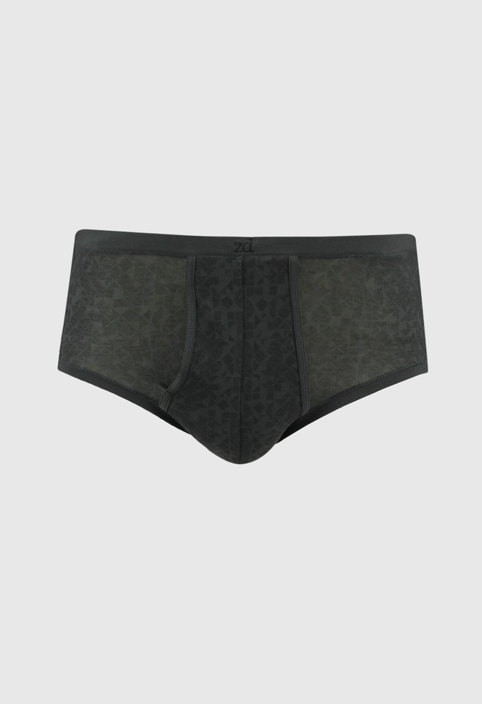 Elite fly front brief from ZD ZERO DEFECTS