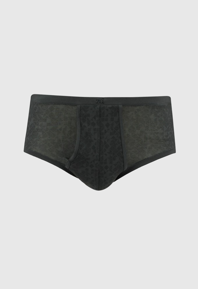 Elite fly front brief from ZD ZERO DEFECTS