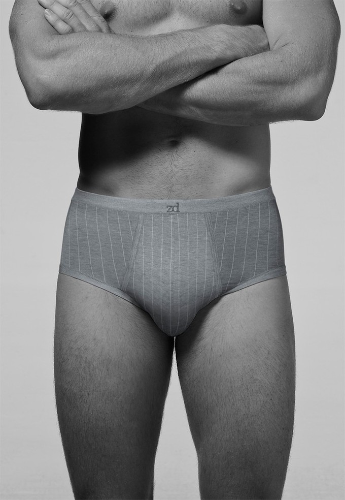 Senior pinstriped fly front brief from ZD ZERO DEFECTS