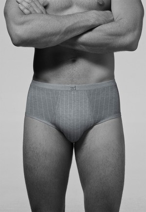 Senior pinstriped fly front brief from ZD ZERO DEFECTS
