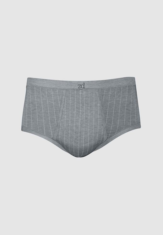 Senior Pinstriped Fly Front Brief - plus size from ZD ZERO DEFECTS