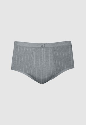 Senior Pinstriped Fly Front Brief - plus size from ZD ZERO DEFECTS