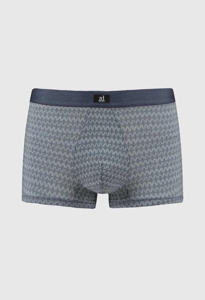 Gentleman trunk from ZD ZERO DEFECTS