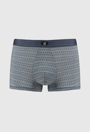 Gentleman trunk from ZD ZERO DEFECTS