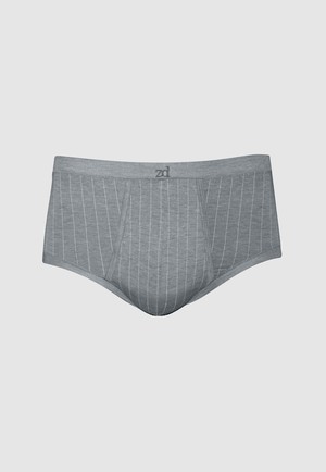 Senior Pinstriped Fly Front Brief - plus size from ZD ZERO DEFECTS