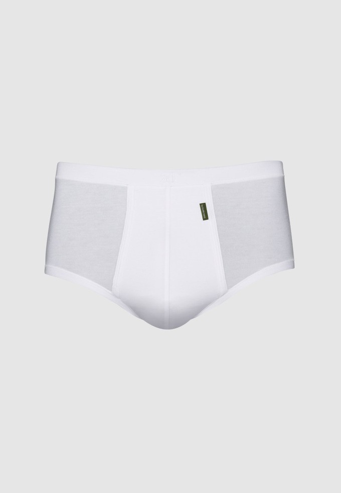Senior fly front brief from ZD ZERO DEFECTS