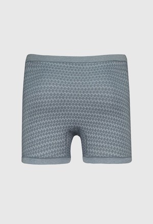 Gentleman fly front boxer from ZD ZERO DEFECTS