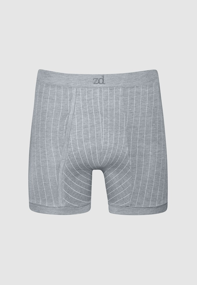 Helios pinstriped fly front boxer - plus size from ZD ZERO DEFECTS
