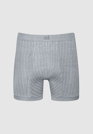Helios pinstriped fly front boxer - plus size from ZD ZERO DEFECTS