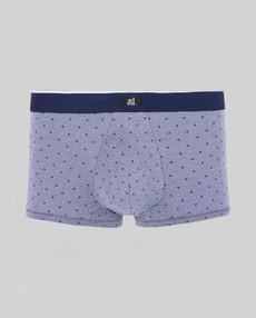 Arizona Trunk via ZD ZERO DEFECTS