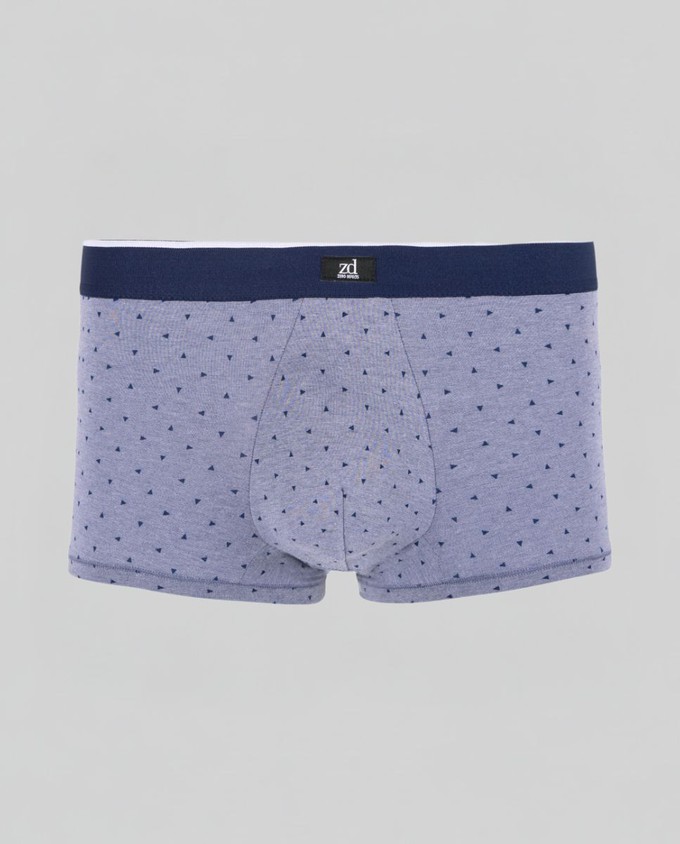 Arizona Trunk from ZD ZERO DEFECTS