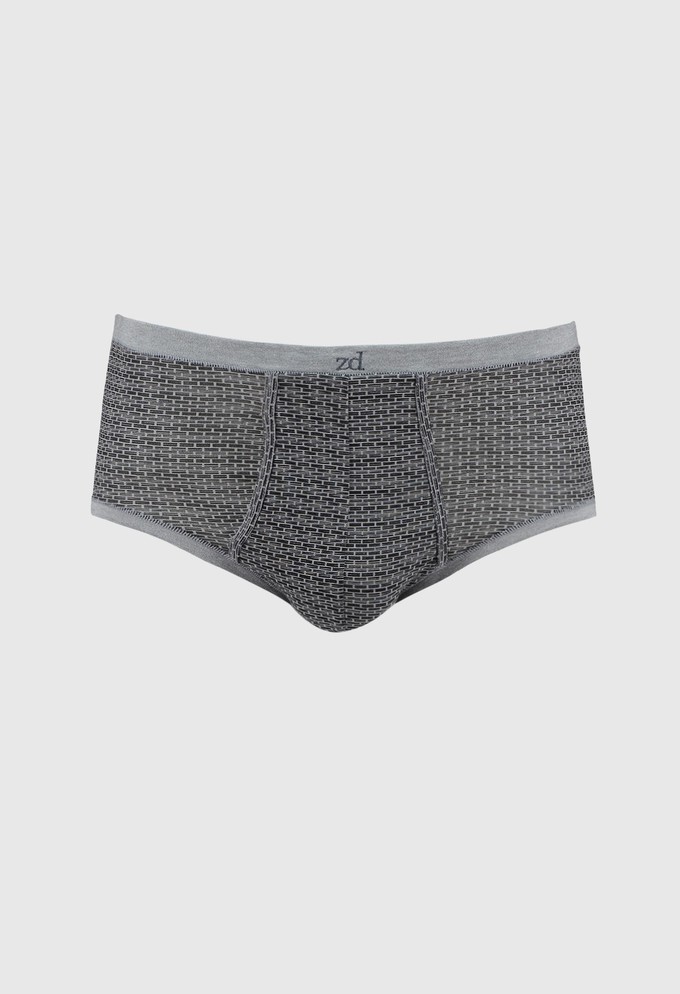 Allure fly front brief from ZD ZERO DEFECTS