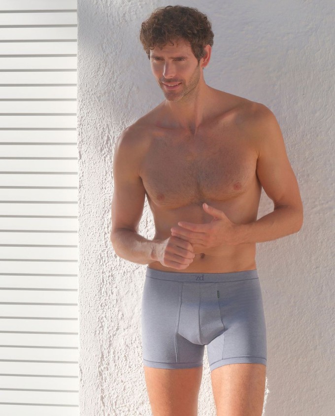 Helios fly front boxer from ZD ZERO DEFECTS