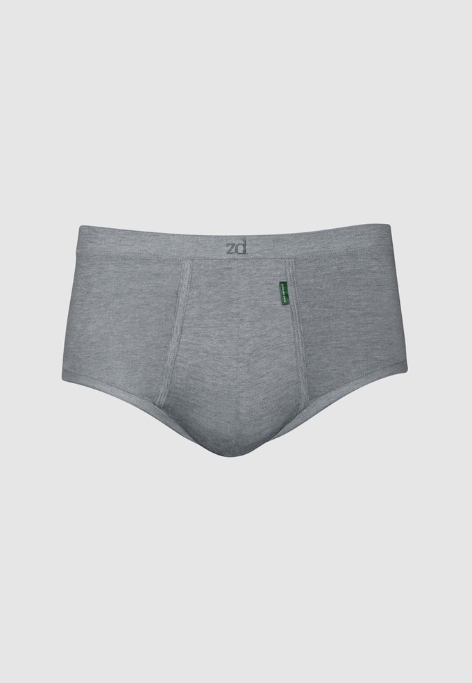 Senior Fly Front Brief - plus size from ZD ZERO DEFECTS