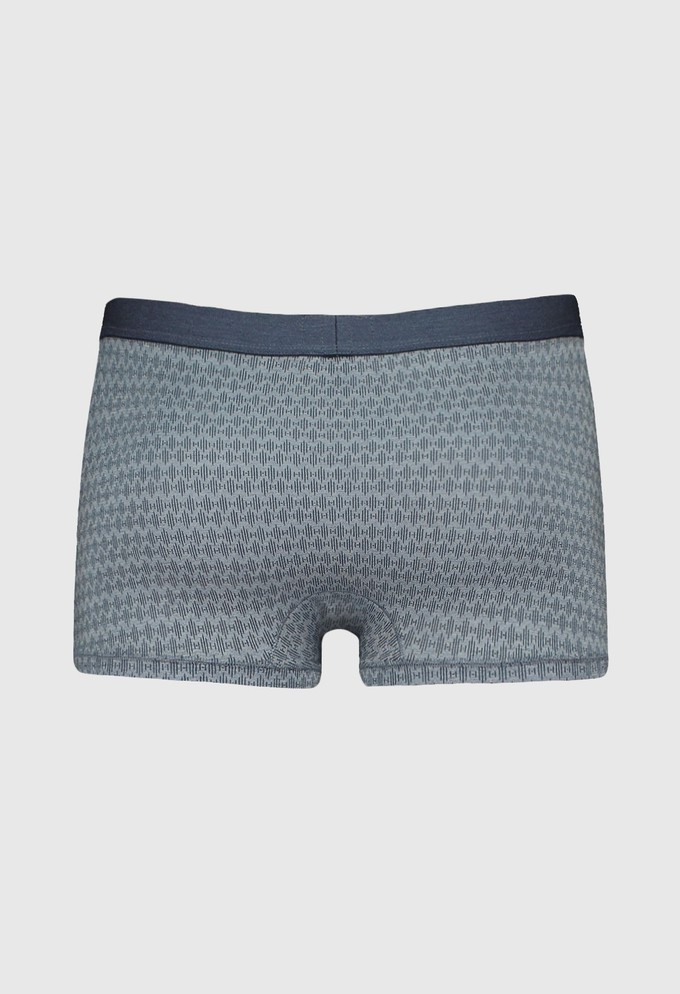 Gentleman trunk from ZD ZERO DEFECTS