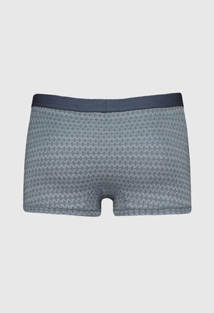 Gentleman trunk from ZD ZERO DEFECTS