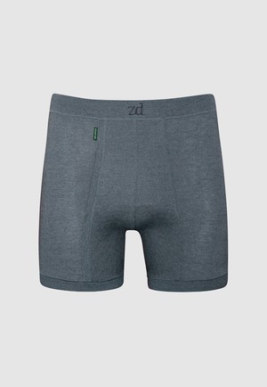 Helios fly front boxer from ZD ZERO DEFECTS