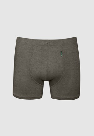 Apolo soya trunk from ZD ZERO DEFECTS