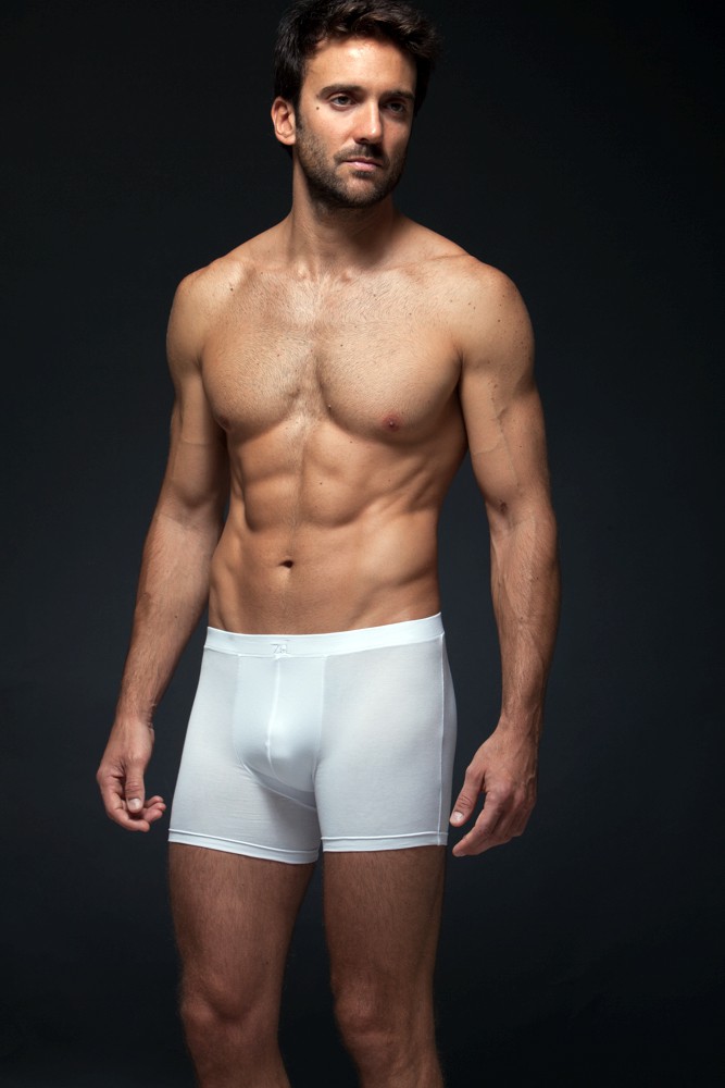 Breno organic cotton boxer from ZD ZERO DEFECTS