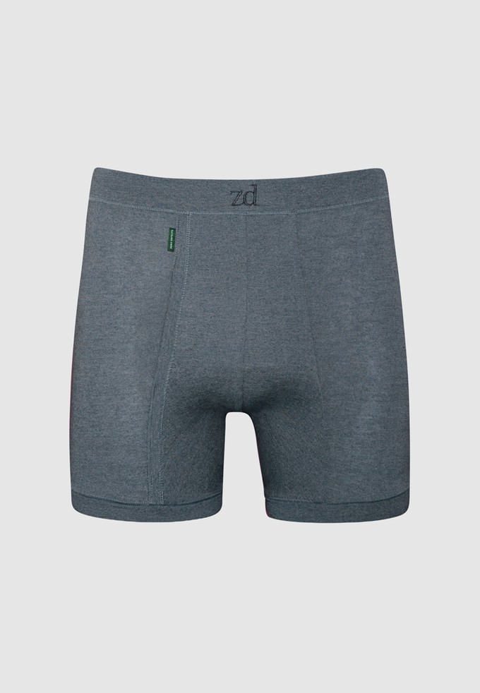 Helios Fly Front Boxer - plus size from ZD ZERO DEFECTS